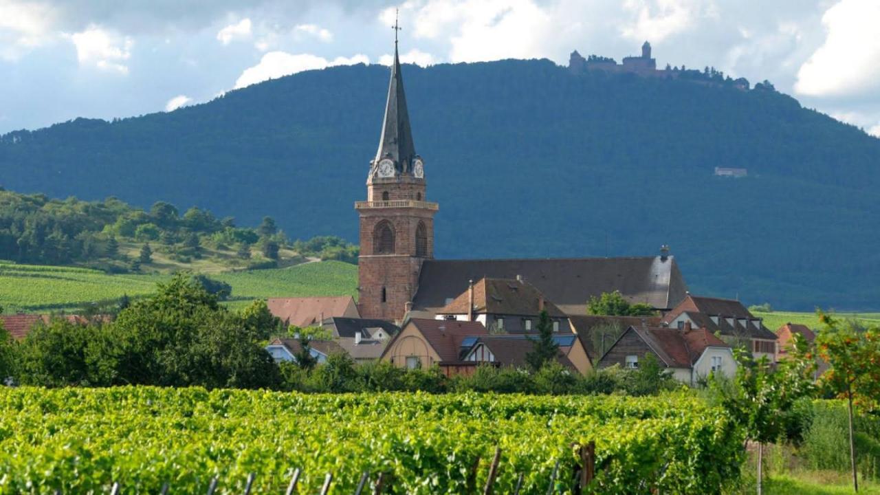 Apartmán Le Petit Nid Bergheim Exteriér fotografie