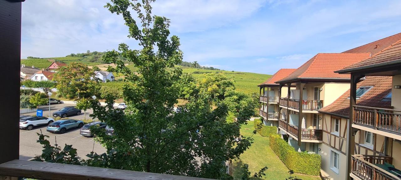 Apartmán Le Petit Nid Bergheim Exteriér fotografie