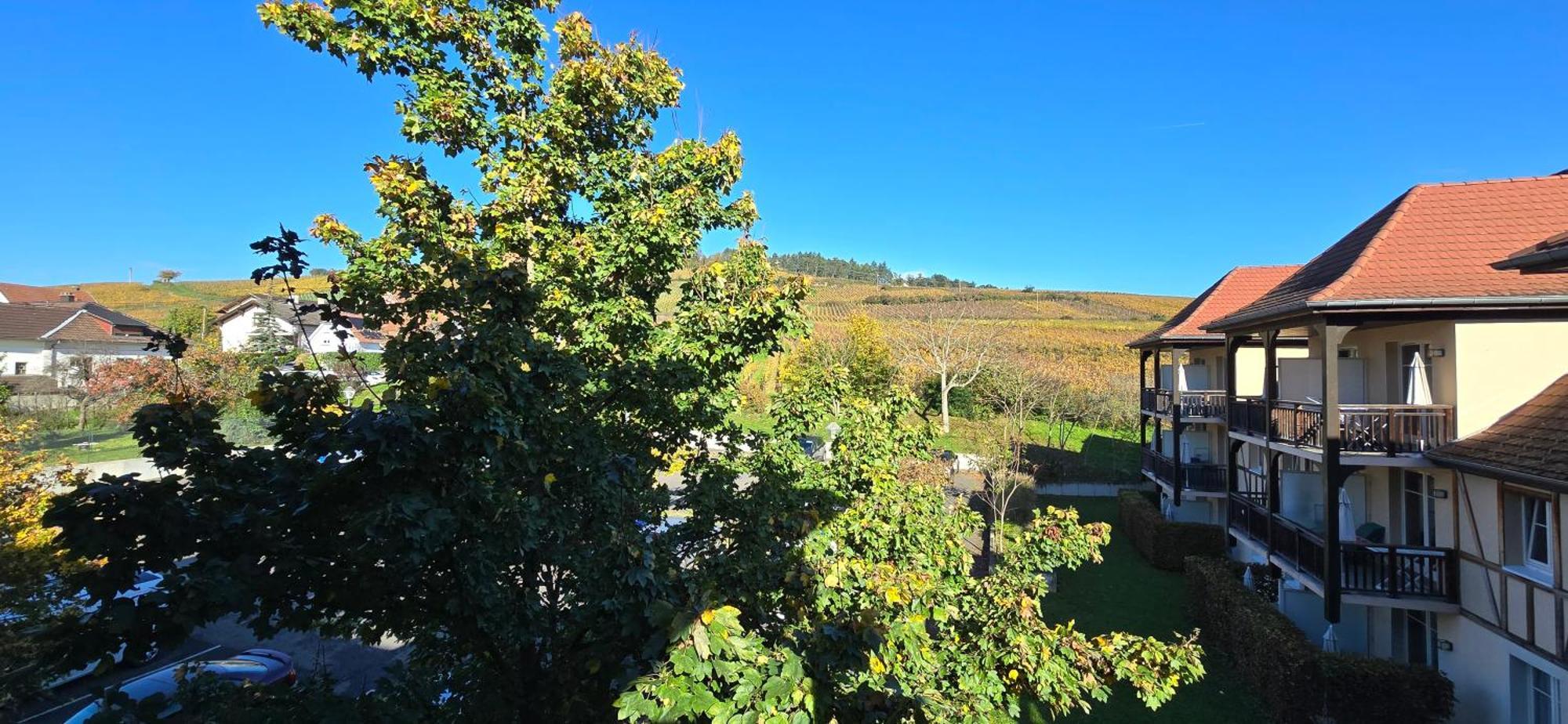 Apartmán Le Petit Nid Bergheim Exteriér fotografie